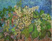 Vincent Van Gogh White Flowers with Blue Background oil on canvas